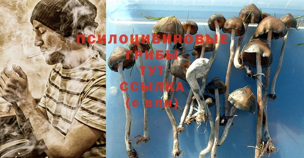 марки lsd Богородицк