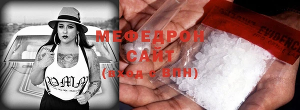 гидра Богданович