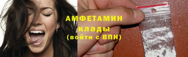 гидра Богданович