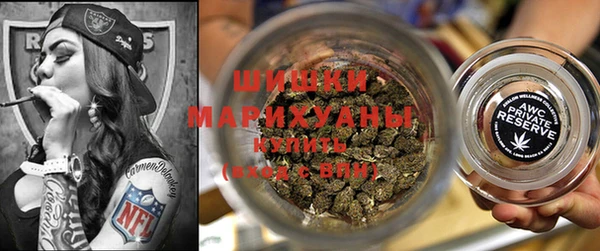 гидра Богданович