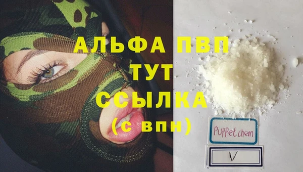 гидра Богданович
