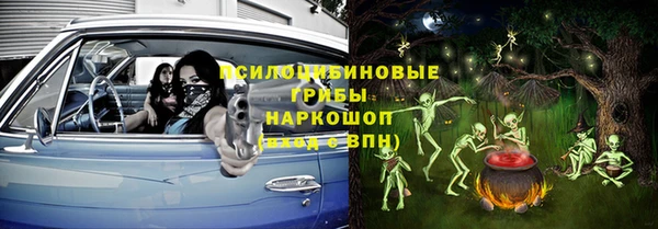 марки lsd Богородицк