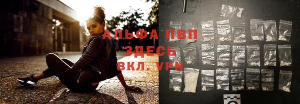 гидра Богданович