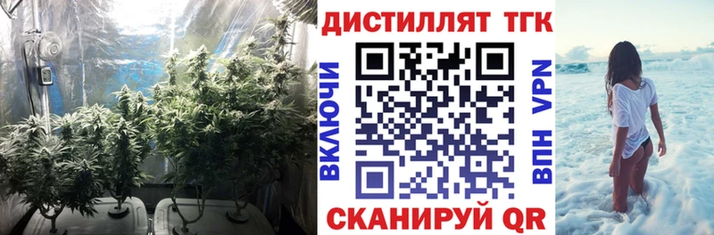ТГК Wax  Купить где  Белоярский 