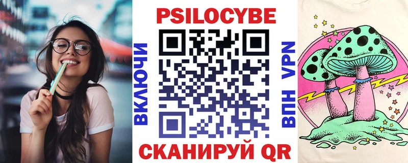 Купить где  Белоярский  Галлюциногенные грибы Psilocybe 
